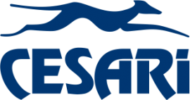 logo-enaiq10